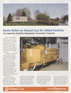 Citizens Gas Case Study
